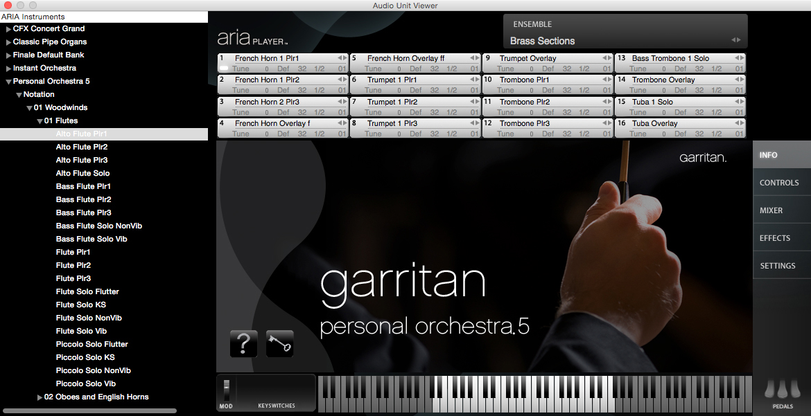 Garritan aria player full download